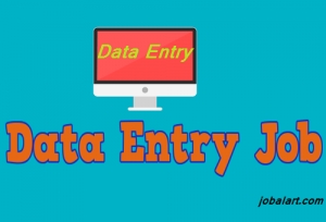 Data Entry Job From Home Daily Work Daily Payment
